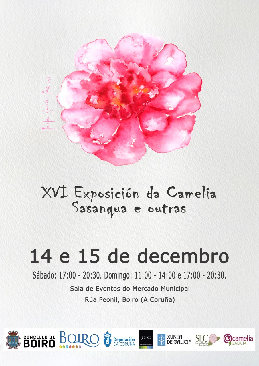 XVI Exposición da Camelia Sasanqua e outras