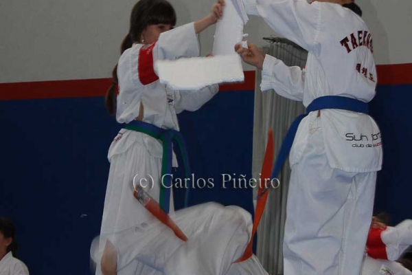 taekwondo332F12DBF-45C3-F9E0-051D-D12E41E25989.jpg