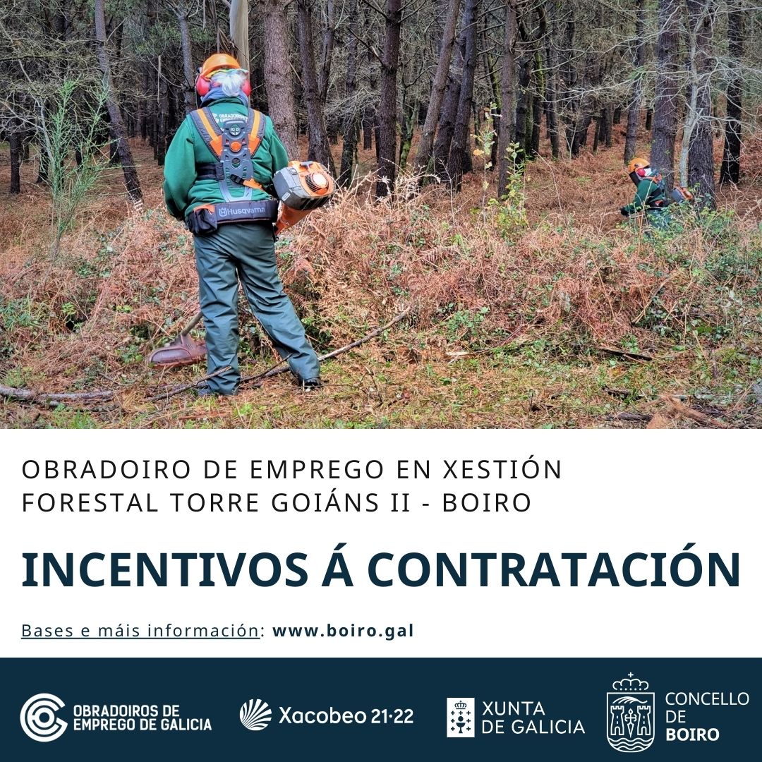 Incentivos á contratación - Obradoiro de Emprego en xestión forestal Torre Goiáns II | Concello de Boiro